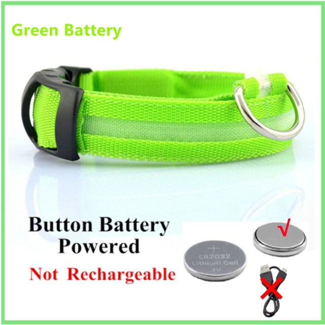 Glowing Dog Collar. night time safety..