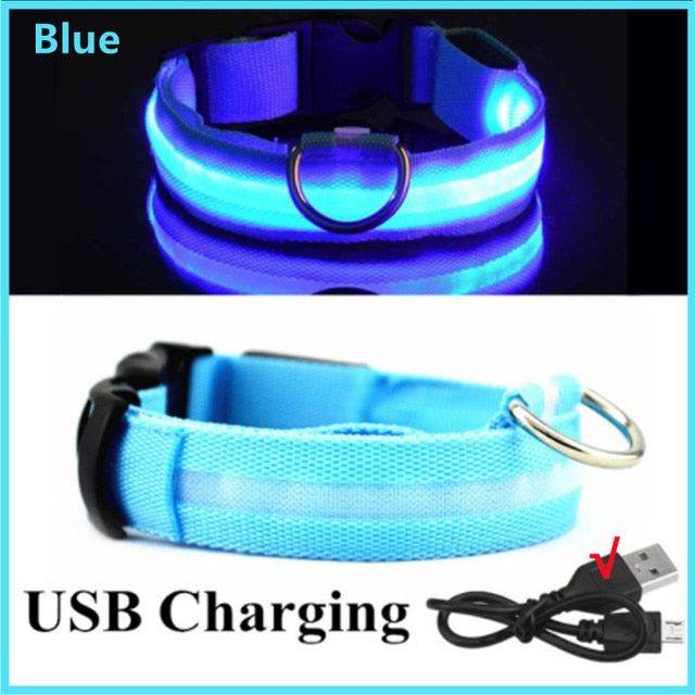 Glowing Dog Collar. night time safety..