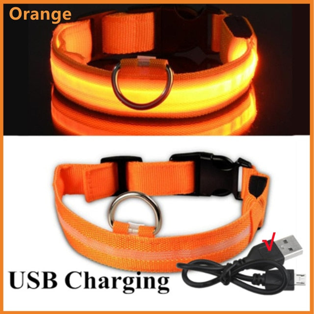 Glowing Dog Collar. night time safety..