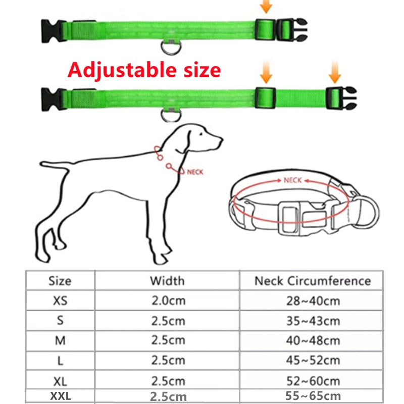 Glowing Dog Collar. night time safety..