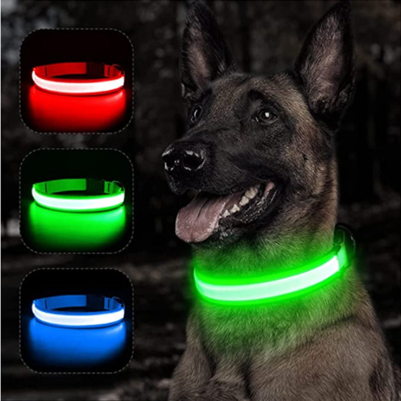 Glowing Dog Collar. night time safety..