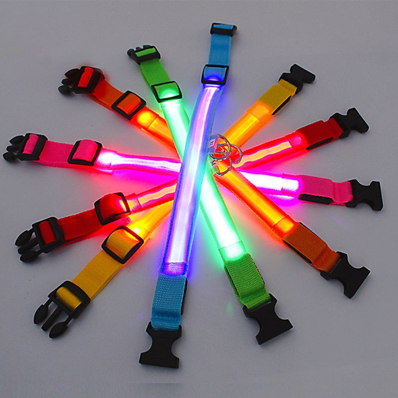 Glowing Dog Collar. night time safety..