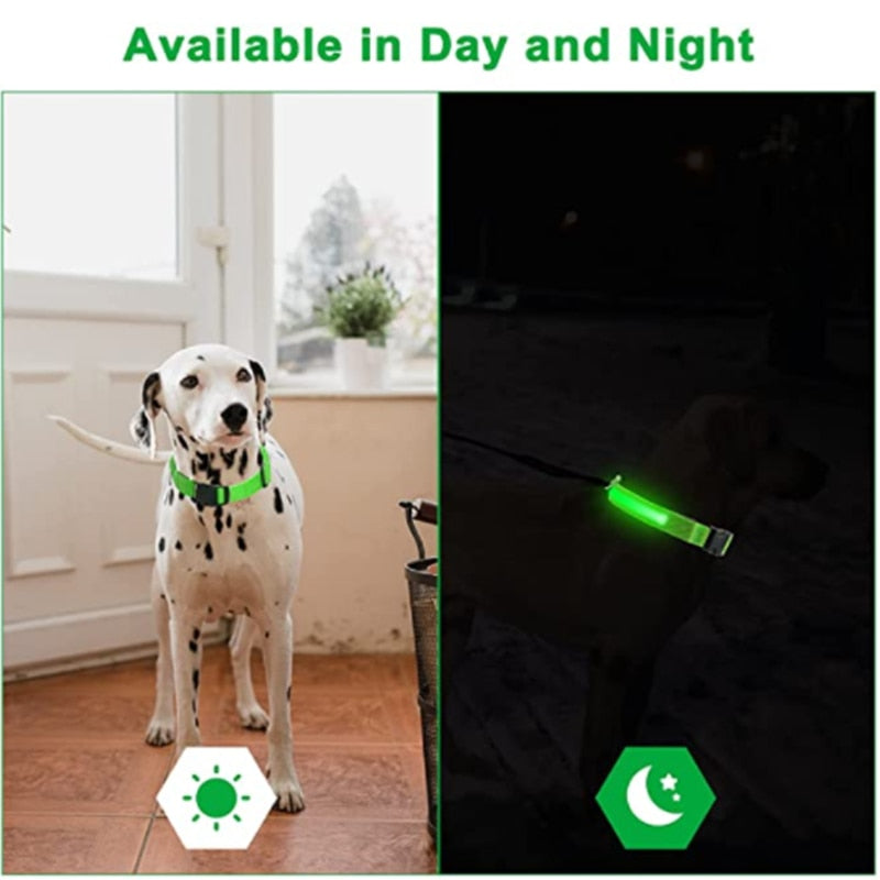 Glowing Dog Collar. night time safety..