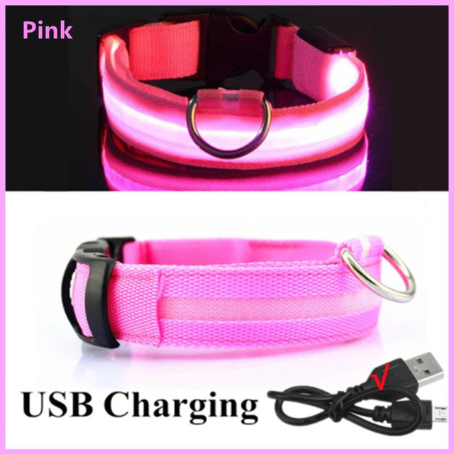 Glowing Dog Collar. night time safety..