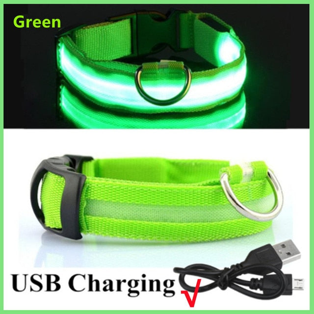 Glowing Dog Collar. night time safety..