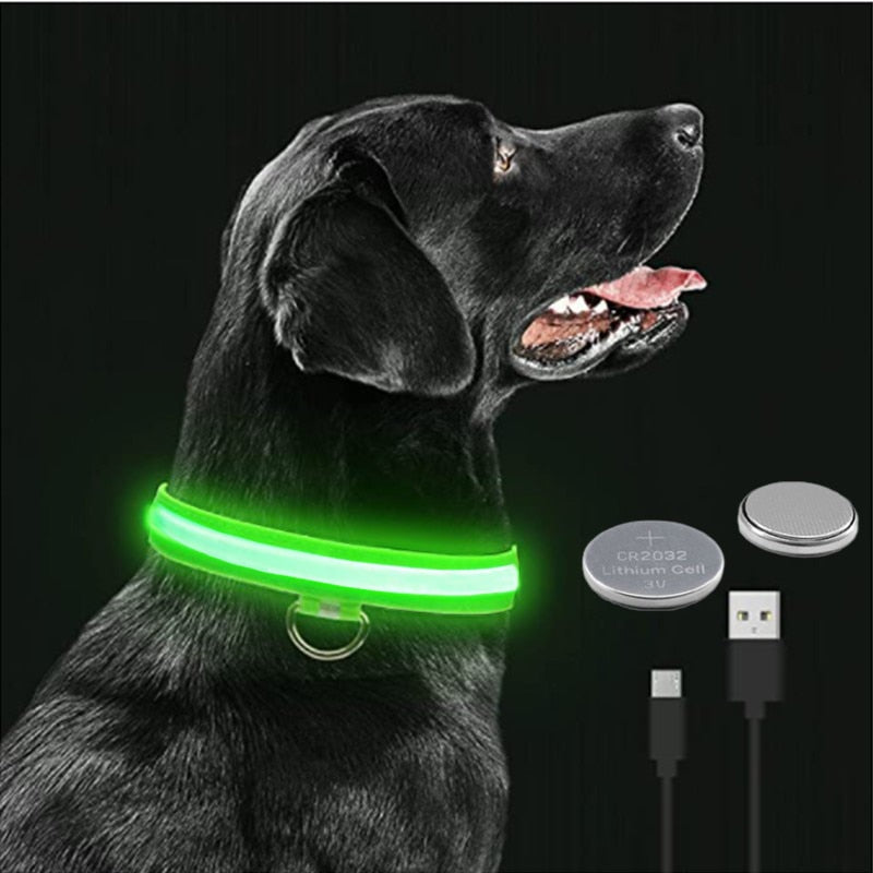 Glowing Dog Collar. night time safety..